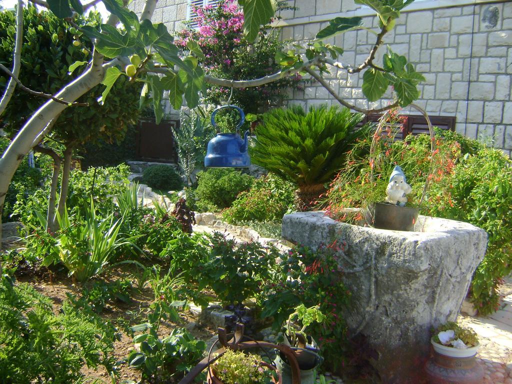 Apartment Lise Dubrovnik Ngoại thất bức ảnh